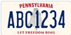 State License Plate